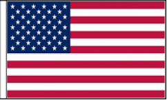 United States Hand Waving Flags